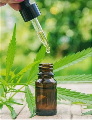 Was Sie wissen sollten, bevor Sie CBD ausprobieren